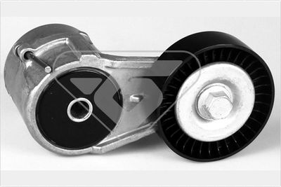 Tensioner Pulley, V-ribbed belt HUTCHINSON T0349