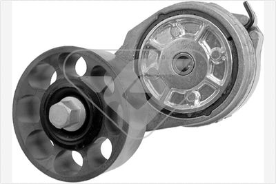 Tensioner Pulley, V-ribbed belt HUTCHINSON T0394