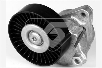 Tensioner Pulley, V-ribbed belt HUTCHINSON T0402