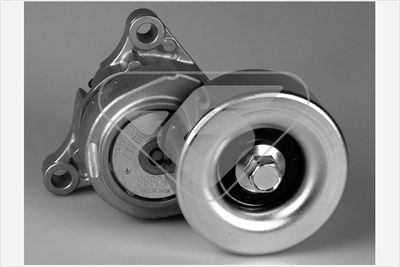 Tensioner Pulley, V-ribbed belt HUTCHINSON T0428