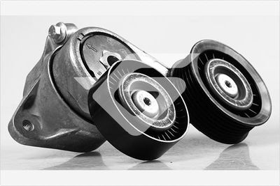 Tensioner Pulley, V-ribbed belt HUTCHINSON T0439