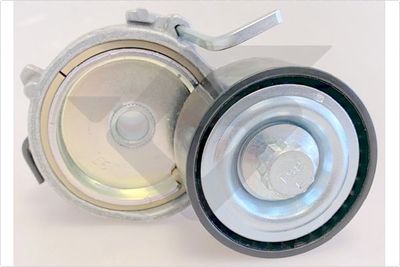 Tensioner Pulley, V-ribbed belt HUTCHINSON T0699