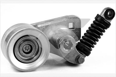 Tensioner Pulley, V-ribbed belt HUTCHINSON T3048