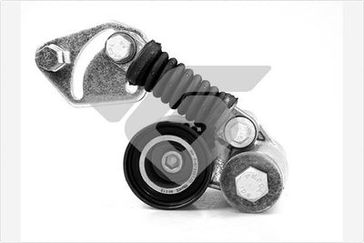 Tensioner Pulley, V-ribbed belt HUTCHINSON T5014
