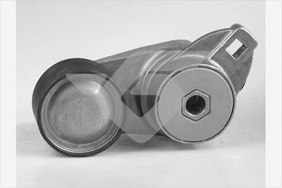 Tensioner Pulley, V-ribbed belt HUTCHINSON TK016