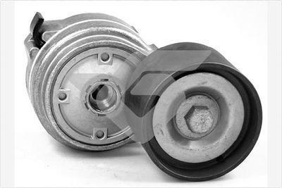 Tensioner Pulley, V-ribbed belt HUTCHINSON TK019