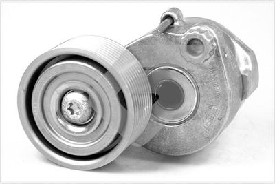 Tensioner Pulley, V-ribbed belt HUTCHINSON TK020