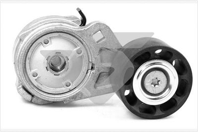 Tensioner Pulley, V-ribbed belt HUTCHINSON TK028