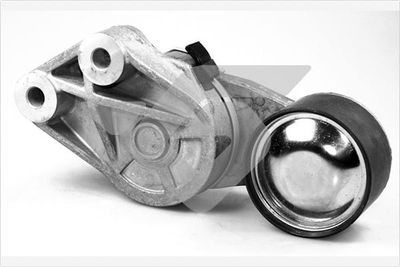 Tensioner Pulley, V-ribbed belt HUTCHINSON TK031