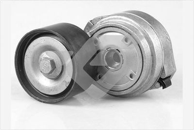 Tensioner Pulley, V-ribbed belt HUTCHINSON TK032
