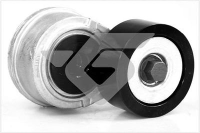 Tensioner Pulley, V-ribbed belt HUTCHINSON TK038