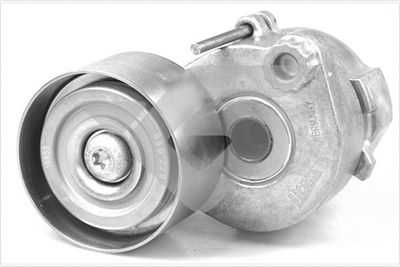 Tensioner Pulley, V-ribbed belt HUTCHINSON TK043