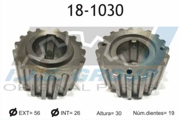 IJS GROUP 18-1030 Sprocket, crankshaft