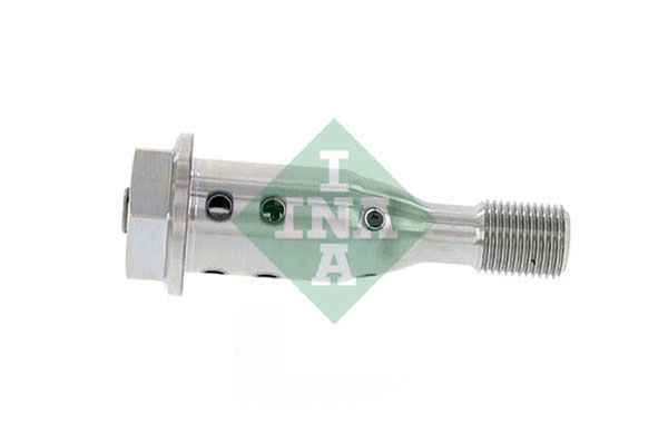 Schaeffler INA 427 0021 10 Central Valve, camshaft adjustment