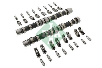 Camshaft Kit Schaeffler INA 428 0030 30