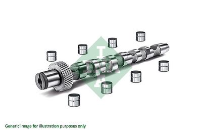 Camshaft Kit Schaeffler INA 428 0032 30