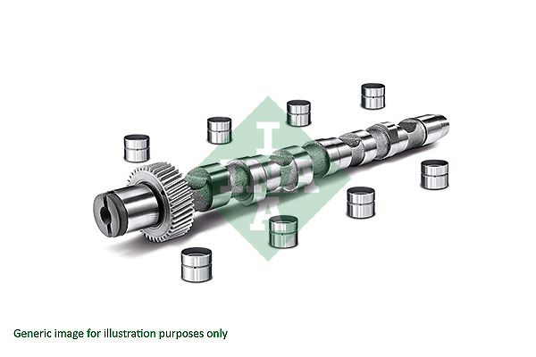 Schaeffler INA 428 0034 30 Camshaft Kit