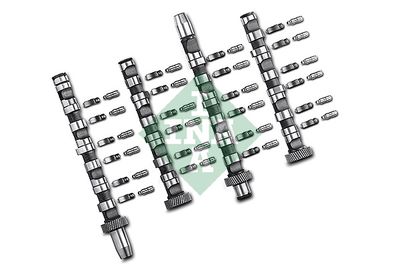 Camshaft Kit Schaeffler INA 428 0038 30