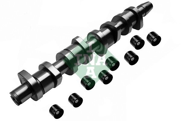 Schaeffler INA 428 0039 30 Camshaft Kit
