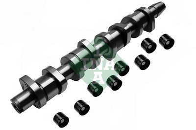 Camshaft Kit Schaeffler INA 428 0039 30