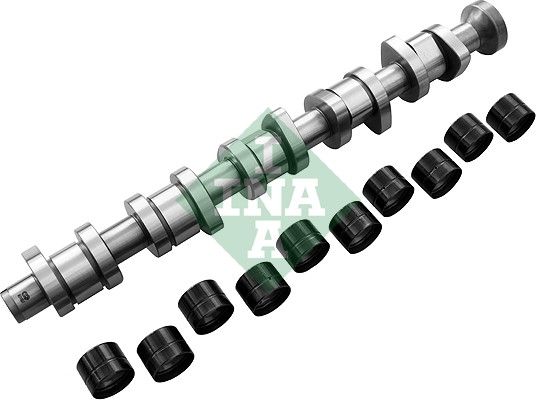 Schaeffler INA 428 0040 30 Camshaft Kit