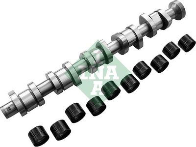 Camshaft Kit Schaeffler INA 428 0040 30