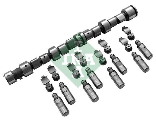 Schaeffler INA 428 0041 30 Camshaft Kit