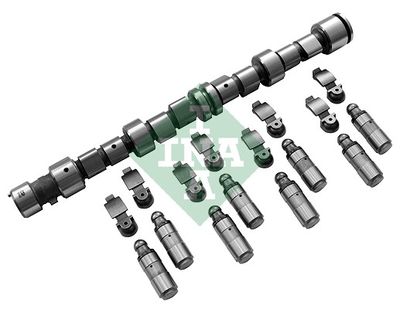 Camshaft Kit Schaeffler INA 428 0041 30