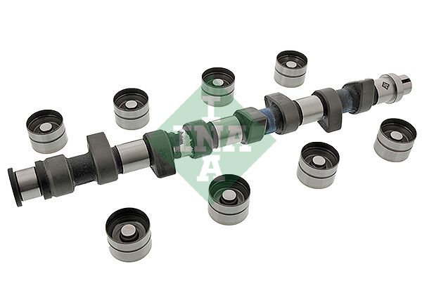 Schaeffler INA 428 0047 30 Camshaft Kit