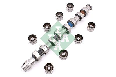 Camshaft Kit Schaeffler INA 428 0049 30