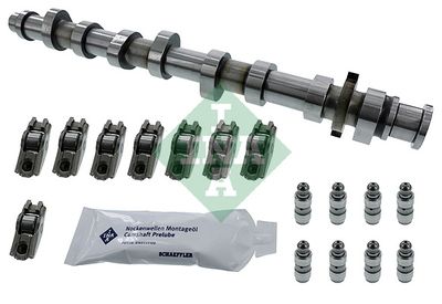 Camshaft Kit Schaeffler INA 428 0050 30