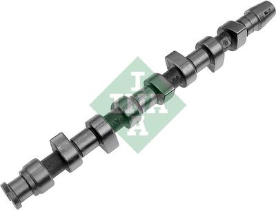 Camshaft Schaeffler INA 428 0062 10
