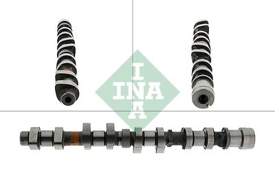 Camshaft Schaeffler INA 428 0113 10