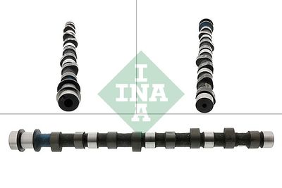 Camshaft Schaeffler INA 428 0129 10