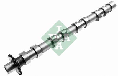 Camshaft Schaeffler INA 428 0160 10
