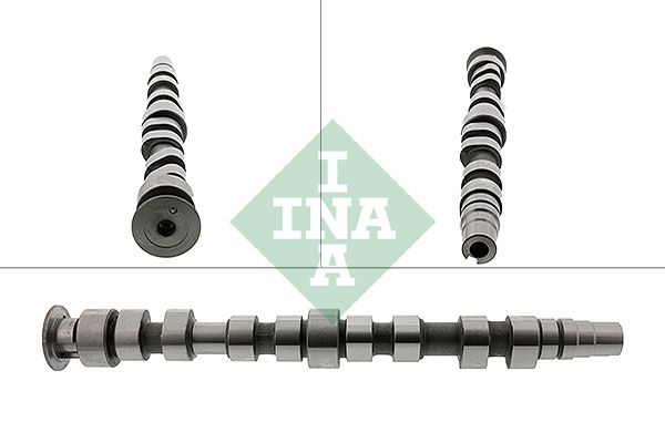 Schaeffler INA 428 0169 10 Camshaft