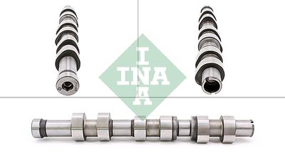 Camshaft Schaeffler INA 428 0171 10