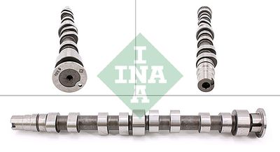 Camshaft Schaeffler INA 428 0173 10