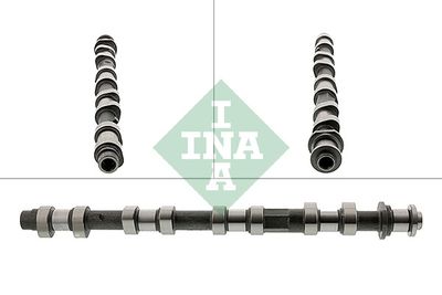 Camshaft Schaeffler INA 428 0196 10