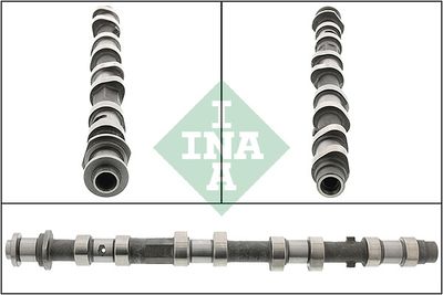 Camshaft Schaeffler INA 428 0197 10