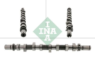 Camshaft Schaeffler INA 428 0198 10