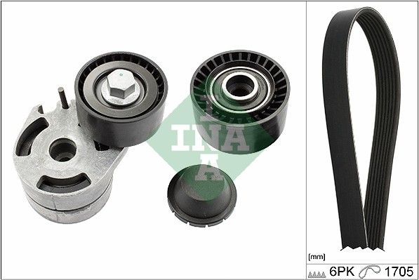 Schaeffler INA 529 0012 10 V-Ribbed Belt Set