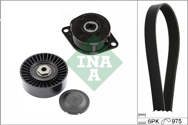 Schaeffler INA 529 0089 10 V-Ribbed Belt Set
