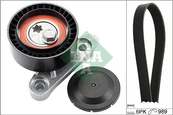 Schaeffler INA 529 0160 10 V-Ribbed Belt Set