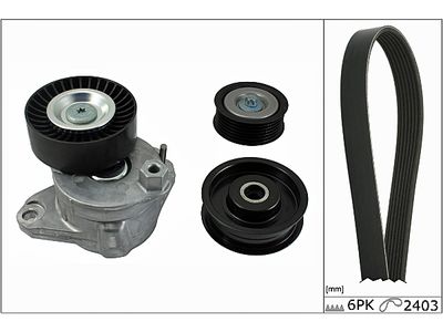 V-Ribbed Belt Set Schaeffler INA 529 0493 10