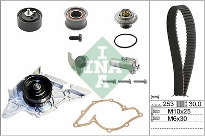 Water Pump & Timing Belt Kit Schaeffler INA 530 0179 32