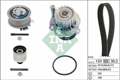 Water Pump & Timing Belt Kit Schaeffler INA 530 0201 32