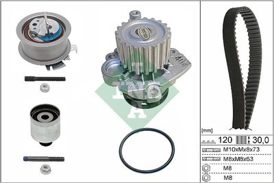 Water Pump & Timing Belt Kit Schaeffler INA 530 0201 33