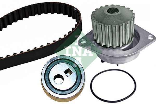 Schaeffler INA 530 0252 30 Water Pump & Timing Belt Kit