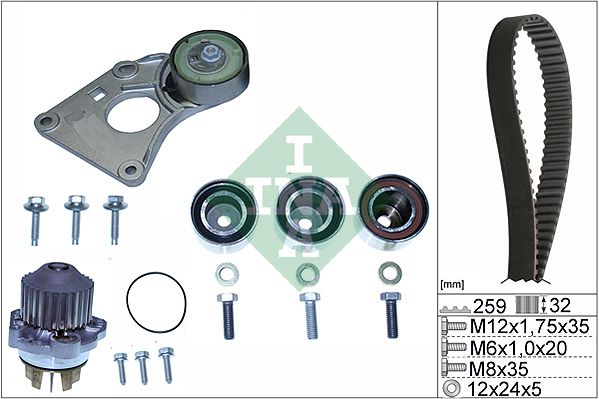 Schaeffler INA 530 0259 31 Water Pump & Timing Belt Kit